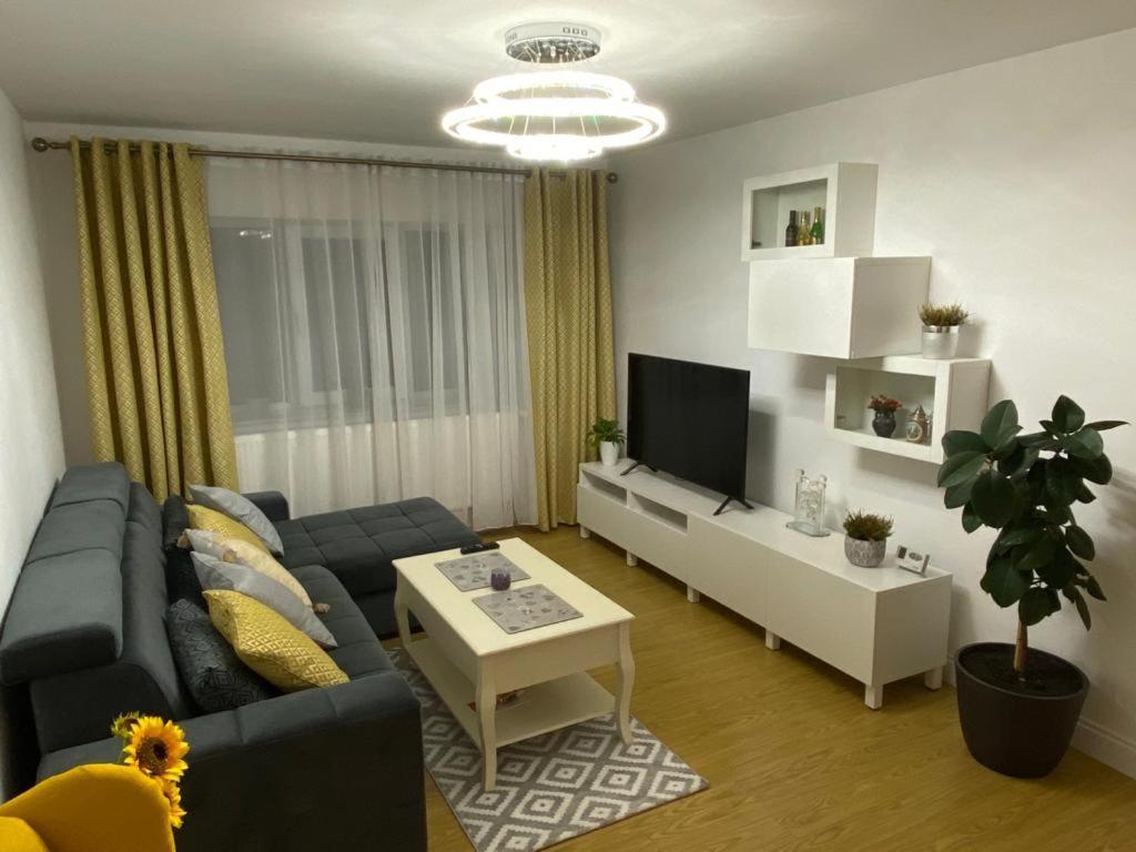 Bucovina View Apartment Kimpulung Mołdawski Zewnętrze zdjęcie